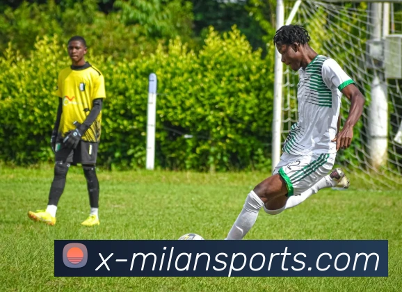 多媒体互动体验